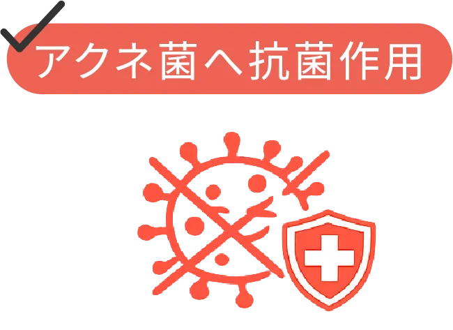 アクネ菌へ抗菌作用