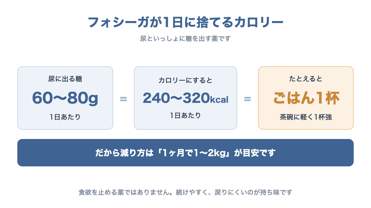 フォシーガが尿に出す糖は1日60〜80g、240〜320kcalでごはん1杯分にあたることを示す図