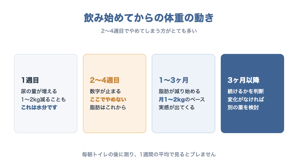 フォシーガを飲み始めてからの体重の変化を1週目・2〜4週目・1〜3ヶ月・3ヶ月以降に分けて示す図