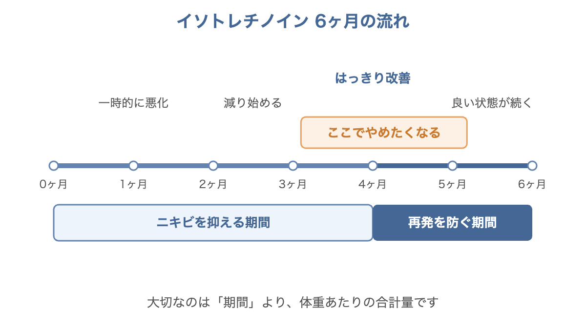 イソトレチノイン6ヶ月の流れ。3〜4ヶ月目で改善がはっきりしてやめたくなるが、そこからの2ヶ月が再発を防ぐ期間であることを示す図