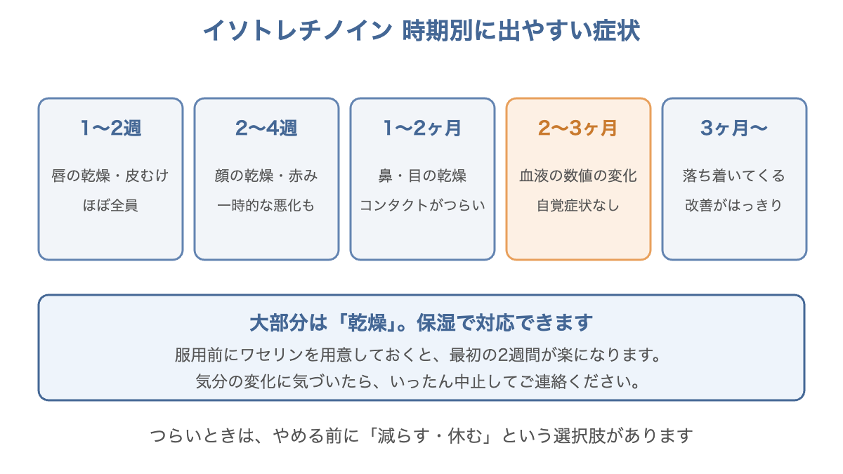 イソトレチノインで時期別に出やすい症状を示した図。1〜2週の唇の乾燥から3ヶ月以降の落ち着きまで