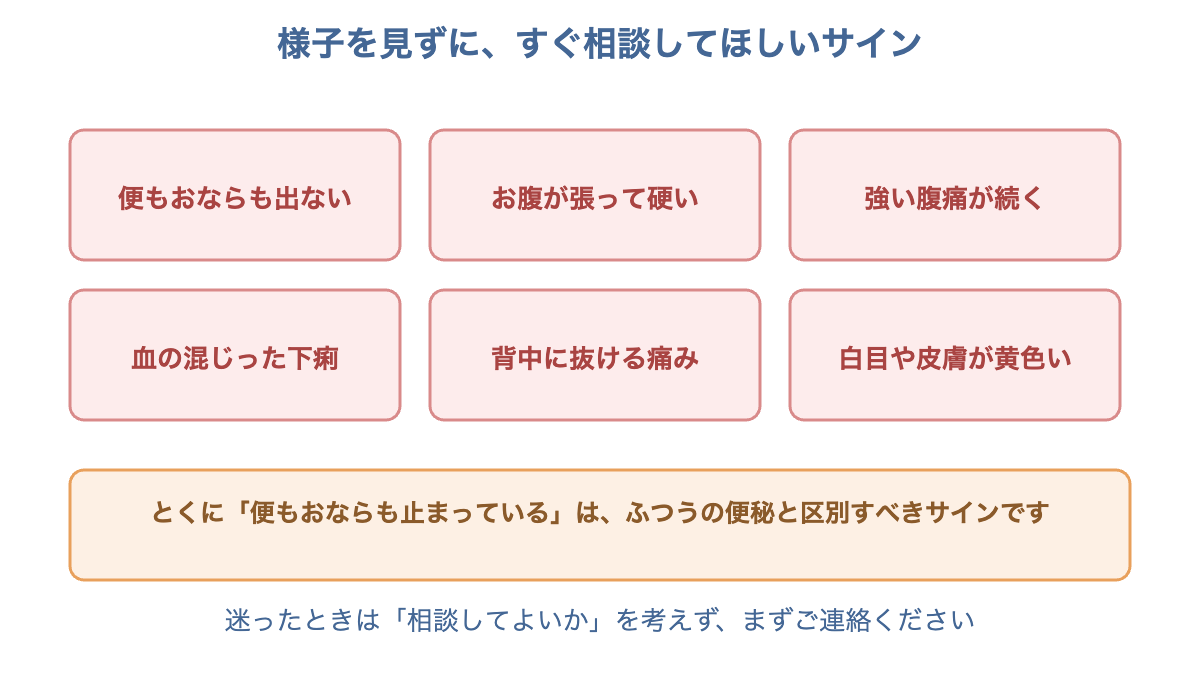 マンジャロ服用中にすぐ相談すべき6つのサインを示した図。便もおならも出ない、強い腹痛など