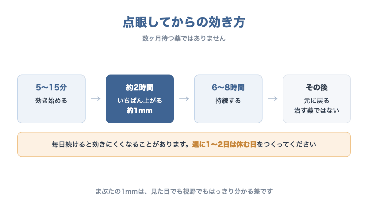 点眼5〜15分で効き始め、約2時間で最大の約1mm、6〜8時間持続し、その後元に戻ることを示す図