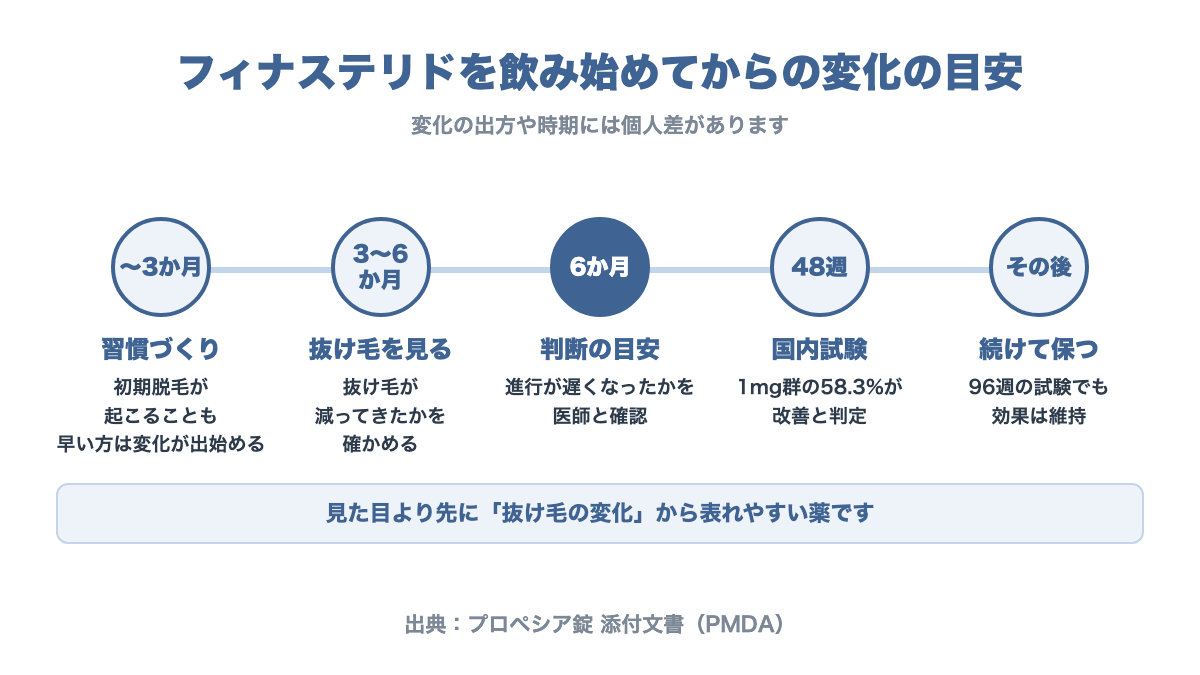 フィナステリドを飲み始めてからの変化の目安。3か月までは初期脱毛が起こることもあり早い方は変化が出始める、3〜6か月は抜け毛の変化を確かめる時期、6か月が効果を判断する目安、48週の国内試験で改善が確認され96週まで維持、その後も続けることで効果を保つ